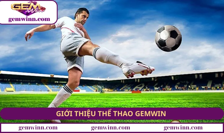 Giới thiệu thể thao GEMWIN chi tiết